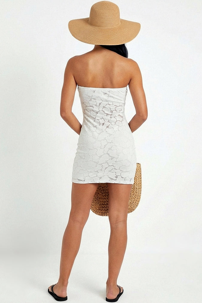 Bahr Lace Sleeveless Dress